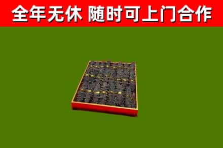 汝州回收海参
